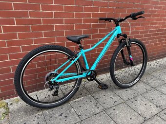 Juniorské kolo Rock Machine Catherine 27 - 3