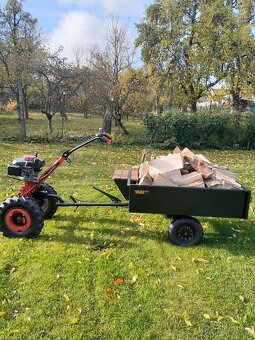 Honda 190 gsv vari - 3