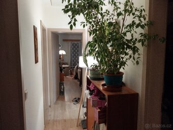 Pronájem pokoje - 3