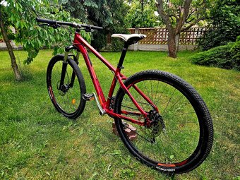 Horske kolo Genesis 29 - 3