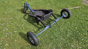 Kite buggy - 3