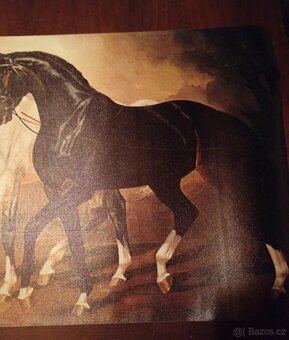 Obraz k zarámování - 3