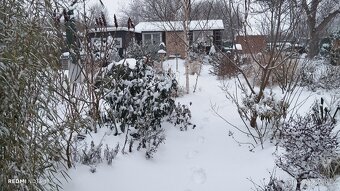 Chata se zahradou - 3