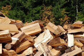 Palivové dřevo, tvrdý měkký suchý - 3