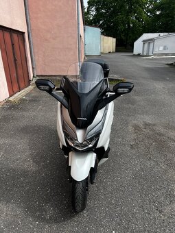 Honda Forza 300 2018rok 18.5KW - 3