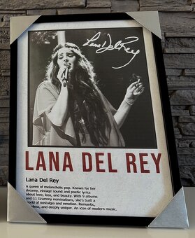 Lana Del Rey & Billie Eilish (nebo cokoliv jiného na přání) - 3