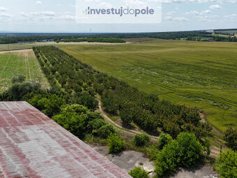 Prodej ovocného sadu v k.ú. Šardice - 3