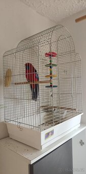 Rozela - 3