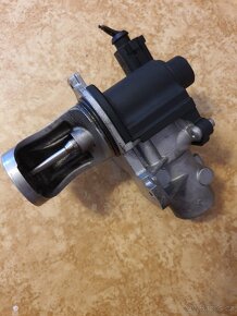 Audi EGR - 3
