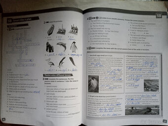 Project 4 - fourth edition - Pracovní sešit - 3