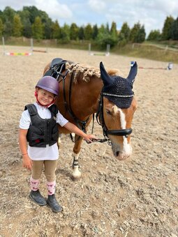 Pony Welsh - učitel Belin, 11let - 3