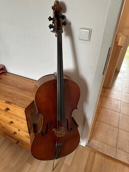 Violoncello - 3