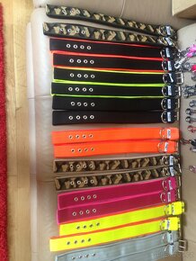 Postroje a obojky - 3