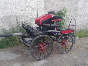 Maratoňák - koně, pár Kuhnle - 3