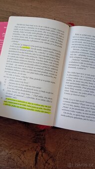 Vítěz je sám (Paulo Coelho) - 3