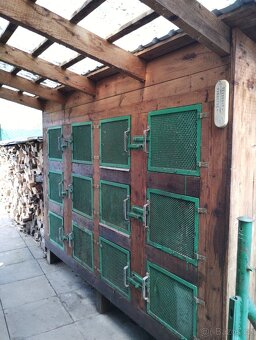 Kralikarna, kotce. - 3