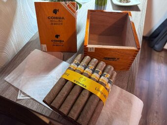 Cohiba Siglo VI - 3