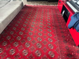 Koberec - Carpet - 3