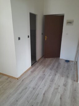 Pronájem 1+1 40 m2 - 3