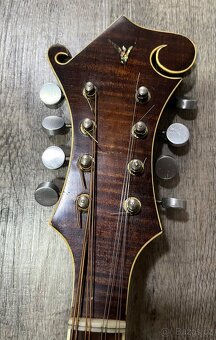Mandolína model F-5 - 3
