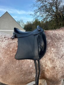 Sedlo Baloun Akademik M - F - 3