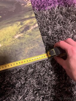 Tištěný obraz - 3