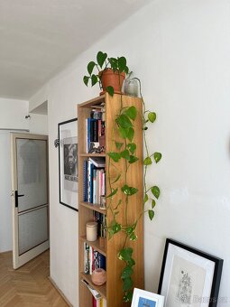 Knihovna Ikea Billy vzor dub š. 40 cm - 3