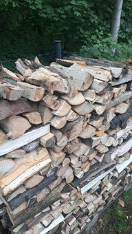 Palivové dřevo tvrdé - 3