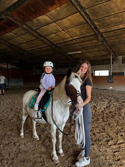 Predam pony kobylku- do rodiny, do sportu - 3