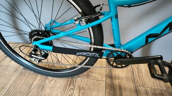 MRX Silene Face 2025 - 3