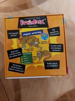 V kostce Zvířata - 3