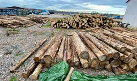 Prodej palivového dřeva - 3