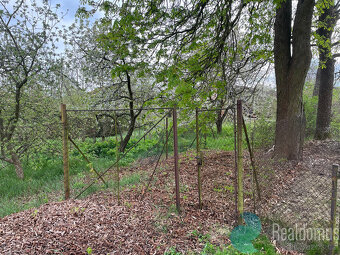 Prodej, Stavební pozemek, 3 636 m2 + 4157 m2 Les, Jílovice u - 3