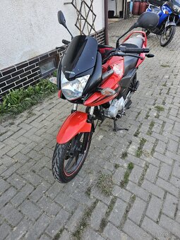 Honda CBF 125 - 3
