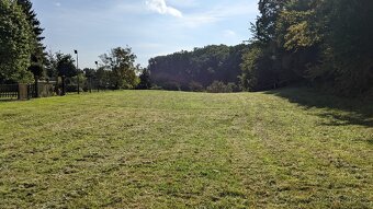 Pronájem louky 5000 m2 - 3