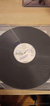 LP Jethro Tull: The Broadsword And The Beast - 3