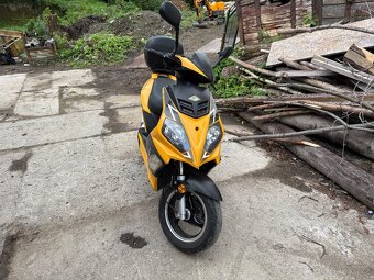 Skurt 50 ccm - 3
