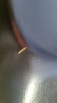 Sedlo Yahamaha fzs 600 - 3