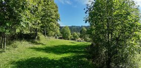 pozemek 3057 m2 Dlhá nad Kysucou SK - 3