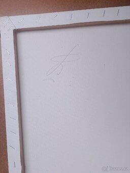 Prodám Obraz Archa - 3