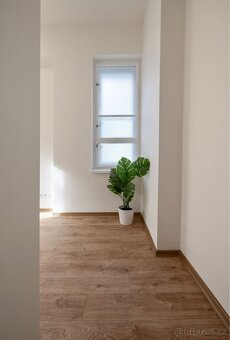 Samostatné neprůchozí pokoje v Pisárkách - 3