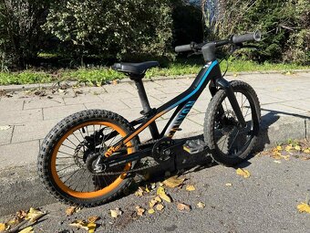 Canyon Offspring AL 16 - 3