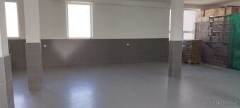 Pronájem skladu/paletové stání až 160 palet - 3