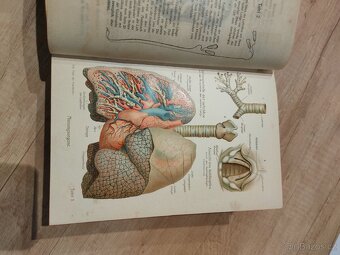 Staré německé knihy - 3