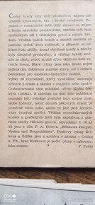 Prodám soubor starých pohlednic Českých hradů. - 3