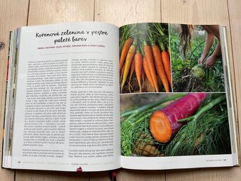 Zelenina z ekozahrady – Jaroslav Svoboda - 3