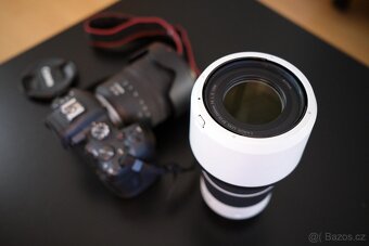 Canon RF 70-200 F4 L - 3