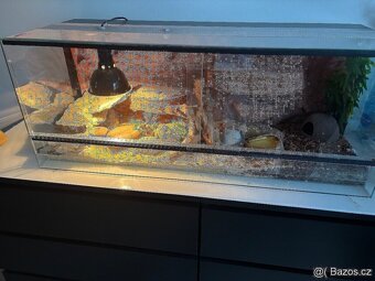 Terárium 120x50x50 s australským pozadím - 3