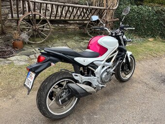 Suzuki Gladius 650 - 3