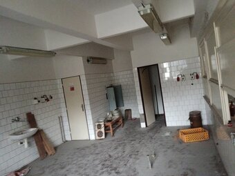 Pronájem skladových , výrobních prostor100 m2 - 3